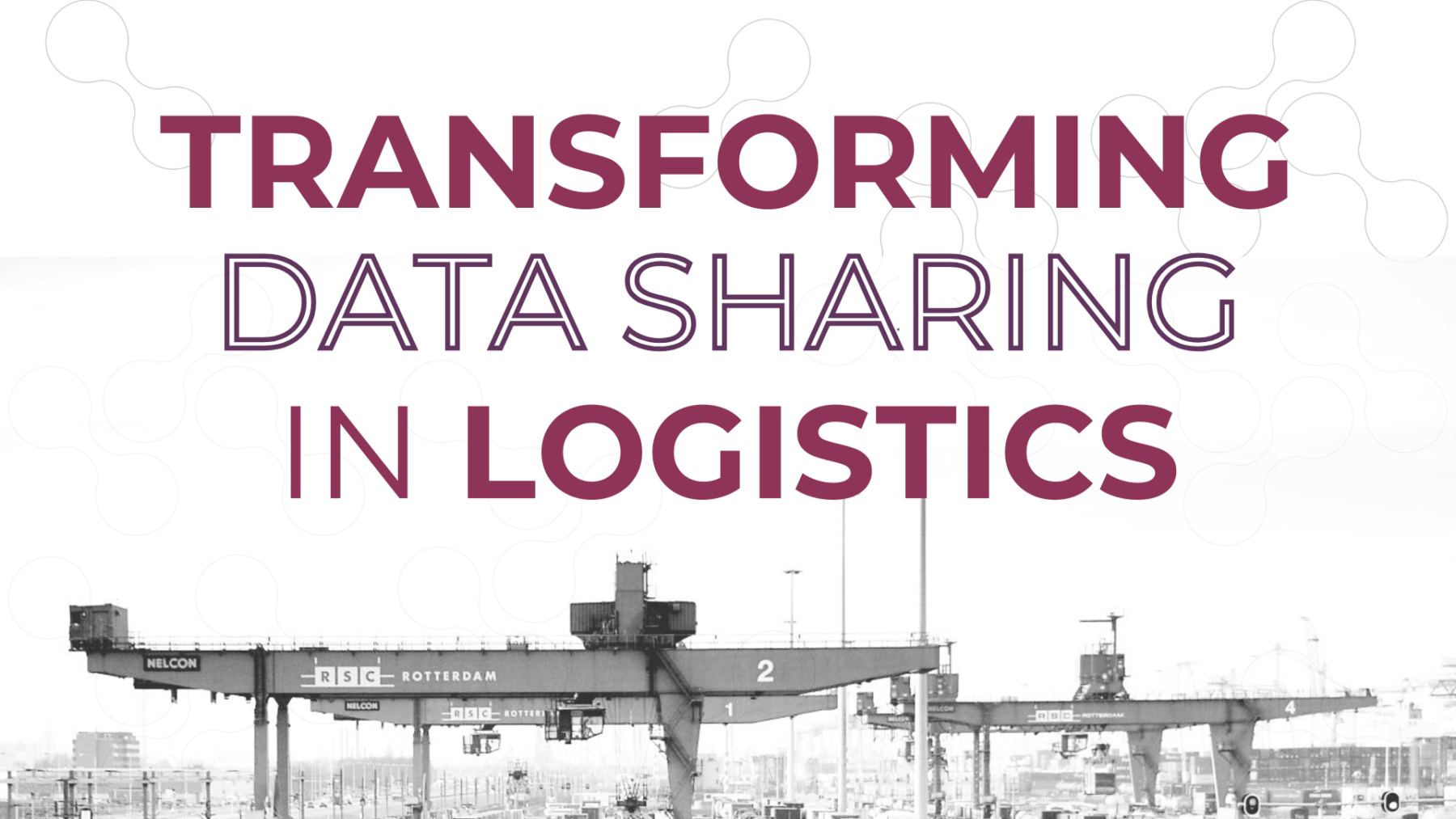 images-for-newsletter-october-2024-1800x1013-1 wp-image-10817